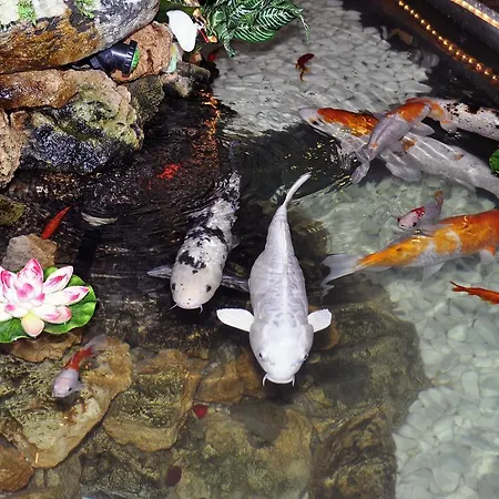 Europaeischer Hof 4* Elsterwerda