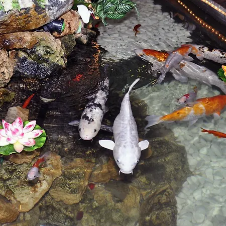 Europaeischer Hof 4* Elsterwerda