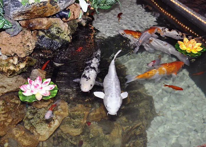 Europaeischer Hof 4* Elsterwerda